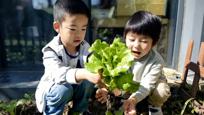 上海何时试点幼儿园大班免费学前教育？