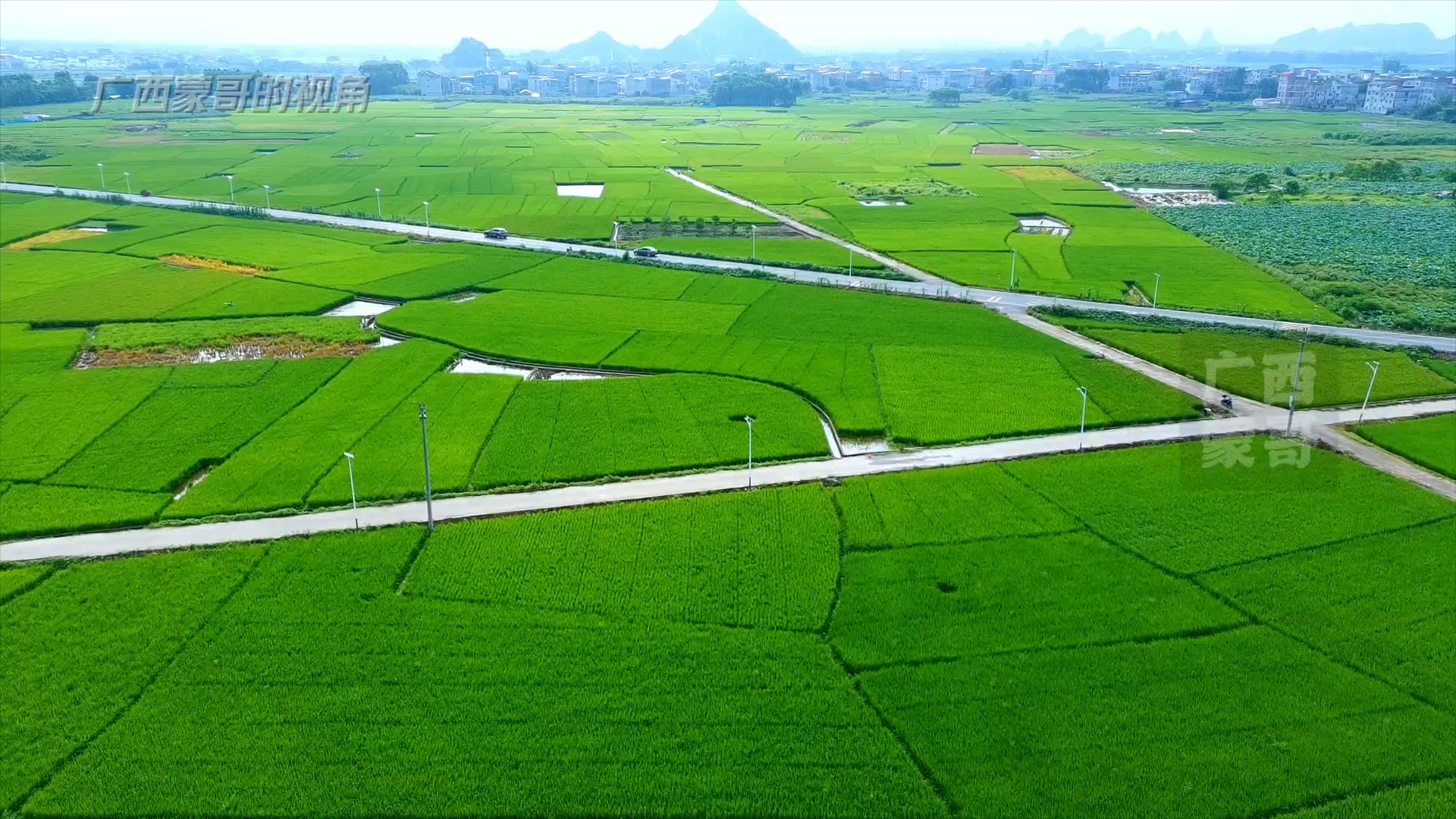 航拍贵港浔郁平原,广西最大平原!