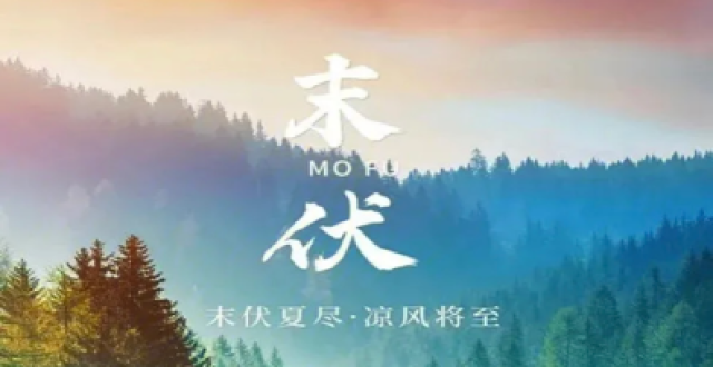 三伏天已到！三伏应该注意些什么？_腾讯新闻