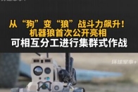 从“狗”变“狼”战斗力飙升！机器狼首次公开亮相 可相互分工进行集群式作战_腾讯新闻