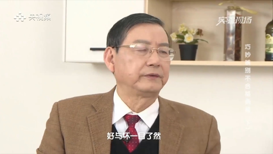 看了红圈所顶级律师刘思远的生活，才明白女性独立的含金量有多高 _腾讯新闻