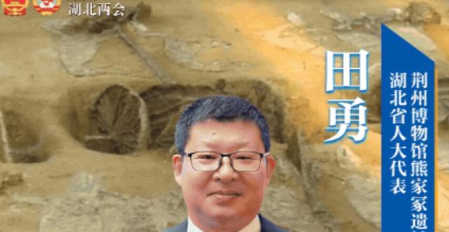代表委员AI湖北 | 田勇：继续加强考古研究 深刻挖掘文化价值_腾讯新闻