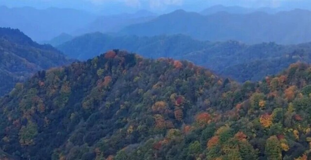 谁说秋天只有凋零？紫柏山两日游攻略来了！_腾讯新闻