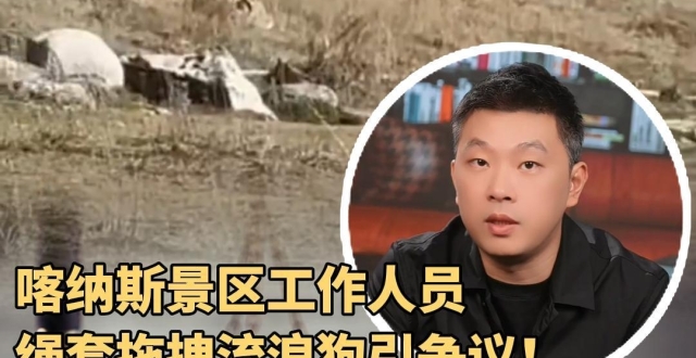 喀纳斯回应粗暴处置流浪狗