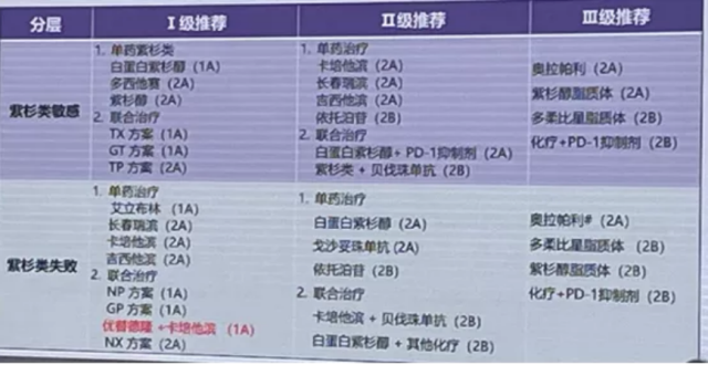 江泽飞教授：2023版CSCO 乳腺癌诊疗指南更新要点全归纳_腾讯新闻