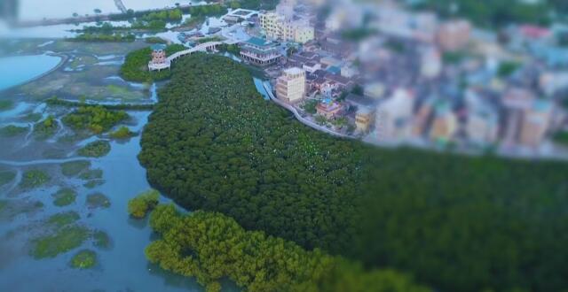 学习笔记｜加强系统化治理，推动资源循环和绿色转型_腾讯新闻