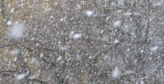 今夜起，河南雨雪到来，持续至27日！谨防雪灾和低温冻害影响！_腾讯新闻
