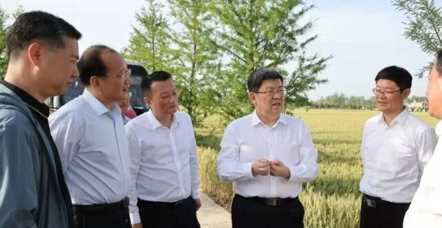 任泽锋在凤台县调研_腾讯新闻