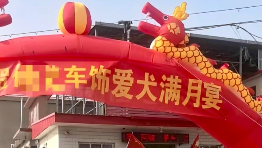 河北一店铺高调给狗办满月宴引争议！当事人：真不是炒作，就是爱狗！