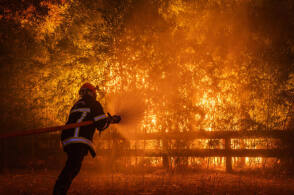 法国山火现“火云”，能制造狂风闪电进一步推动火势蔓延，“火云”有多危险？扑火战术要怎么变？