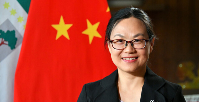中国驻奥地利大使亓玫即将卸任缩略图