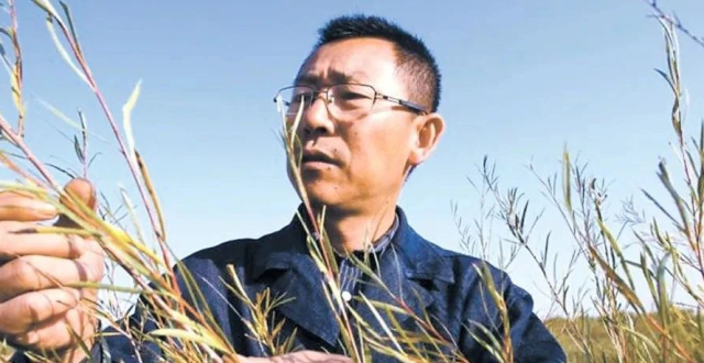 三北精神照亮美丽中国｜张应龙：科学治沙让荒漠变绿洲_腾讯新闻