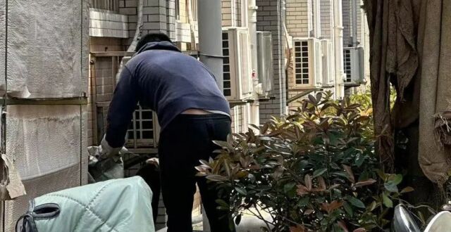 男子校内虐杀流浪猫，被大学生当场抓获，校方回应_腾讯新闻