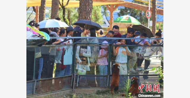 出游新风潮：中国游客沉浸于“动物世界”_腾讯新闻