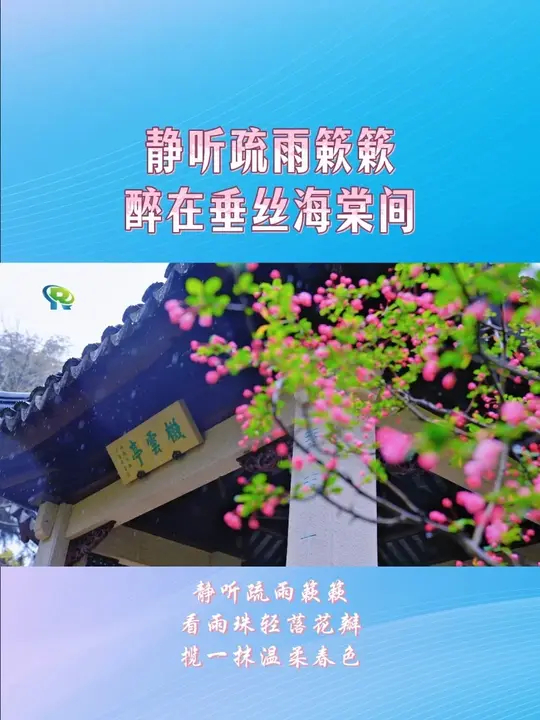 静听疏雨簌簌，醉在垂丝海棠间_腾讯新闻