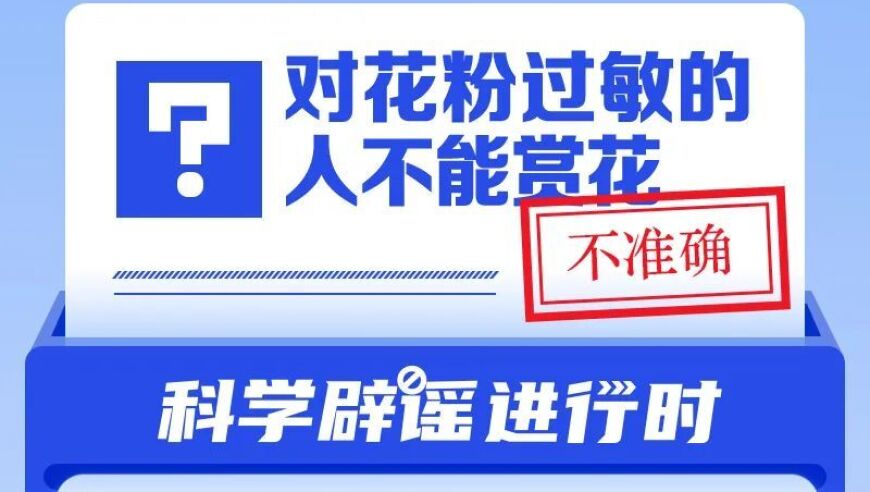 花粉过敏只能宅家？3大误区揭秘！专家教你正确赏花姿势