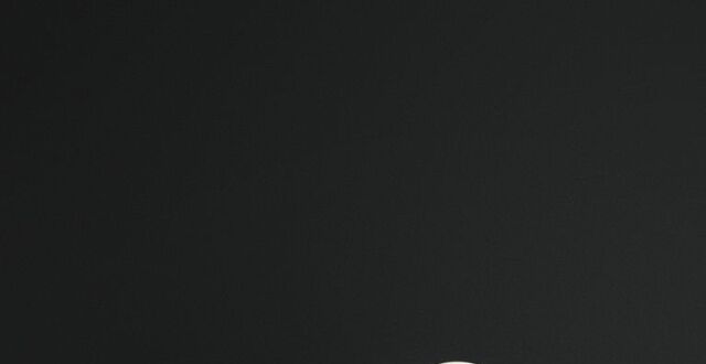 SHAKE SHACK庆祝进入中国内地五周年 携手LING LONG餐厅主厨刘禾森Jason，推出米其林星厨系列汉堡及奶昔_腾讯新闻