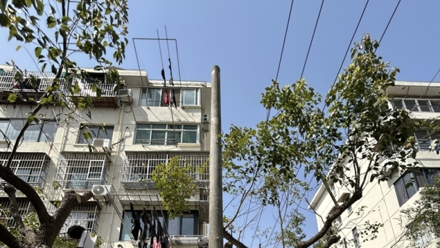 惊！小区35根废弃电线杆无人认领，拆除难题咋破解？