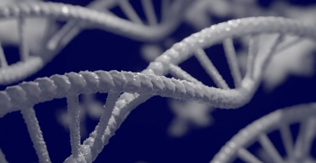 体内有3人DNA、线粒体捐赠治疗……英国首批三亲婴儿诞生_腾讯新闻