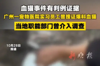 血猫事件有判例证据，当地职能部门曾介入调查 血猫事件有判例证据，广州一宠物医院实习员工曾搜证爆料血猫，当地职能部门曾介入调查_腾讯新闻