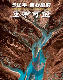 5亿年，岩石里的生命奇迹（第一季）