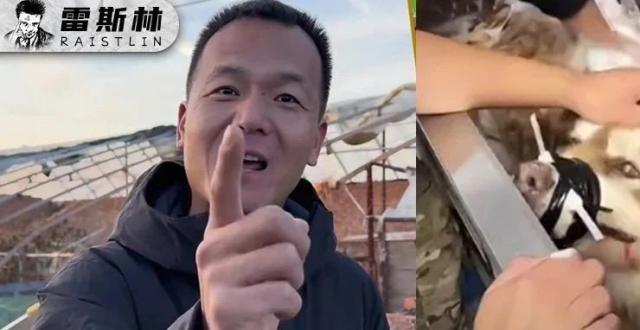 潘宏到底是虐狗还是训狗？_腾讯新闻