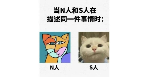 S人和N人的区别be like……_腾讯新闻