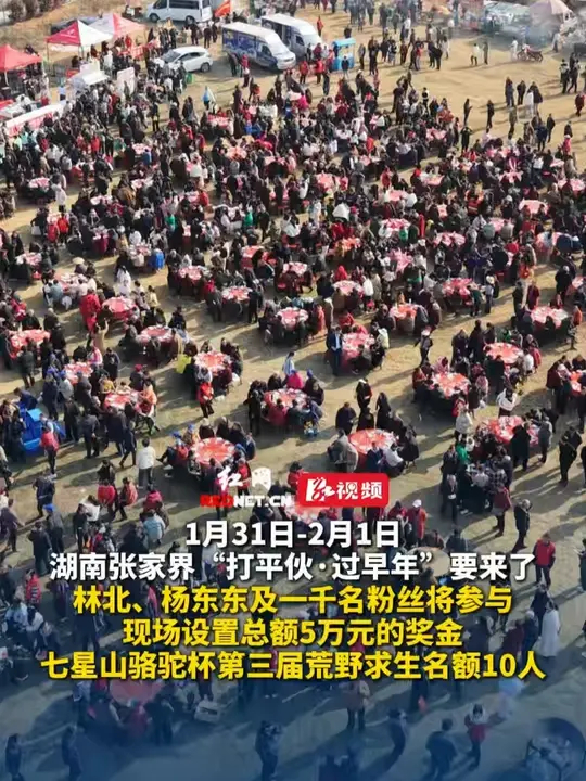 1月31日-2月1日 湖南张家界“打平伙·过早年”要来了，林北、杨东东及一千名粉丝将参与，现场设置总额5万元的奖金、七星山骆驼杯第三届荒野求生 ...