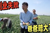父亲创业失败，干啥啥不行，赔钱第一名，全家很无奈，这可怎么办？_腾讯新闻