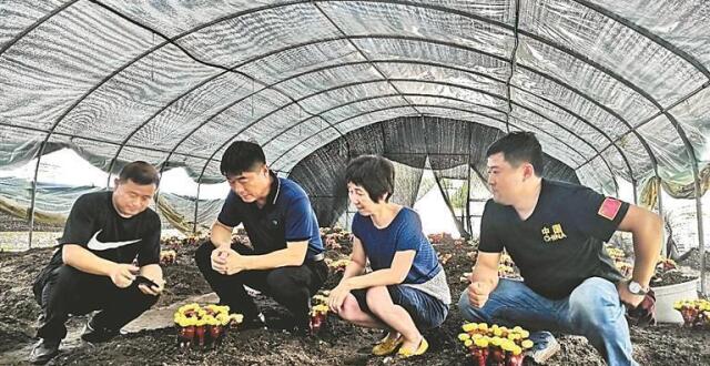 东北林业大学 新质生产力一线行丨以科创为翼 助老林区再绽芳华_腾讯新闻