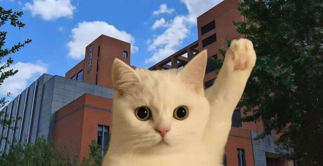 叮咚！薛定谔的猫向你发出邀请，居然是.....（内含报名链接）_腾讯新闻
