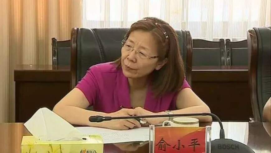 中国人保集团原党委委员、副总裁俞小平被查