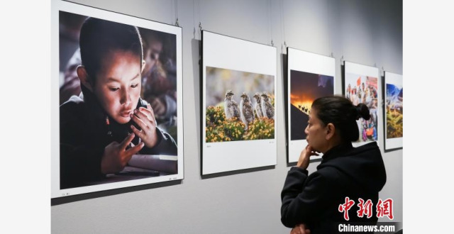 青海省第十九届摄影艺术展开幕_腾讯新闻