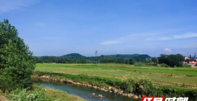 冷水江杨坪村：“小瘠丘”变身“大沃田”_腾讯新闻