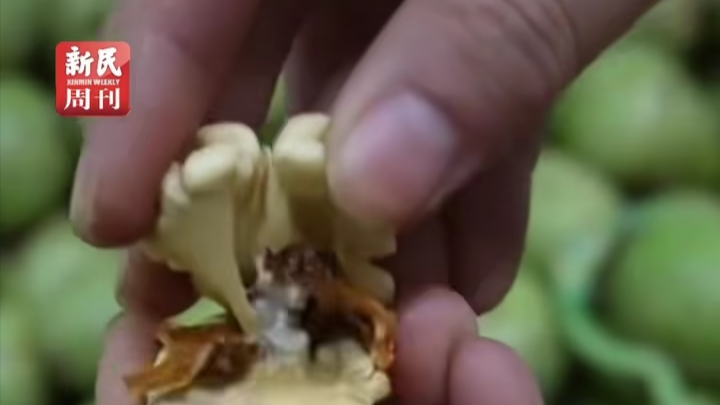 探秘叶城的风物密码：叶城，宛如昆仑山麓的一颗璀璨明珠_腾讯新闻