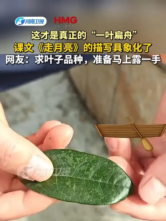 这才是真正的“一叶扁舟”_腾讯新闻