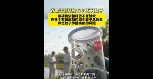 谷歌计划释放3200万只蚊子，通过不育雄蚊减少繁殖周期内的蚊子总数量缩略图