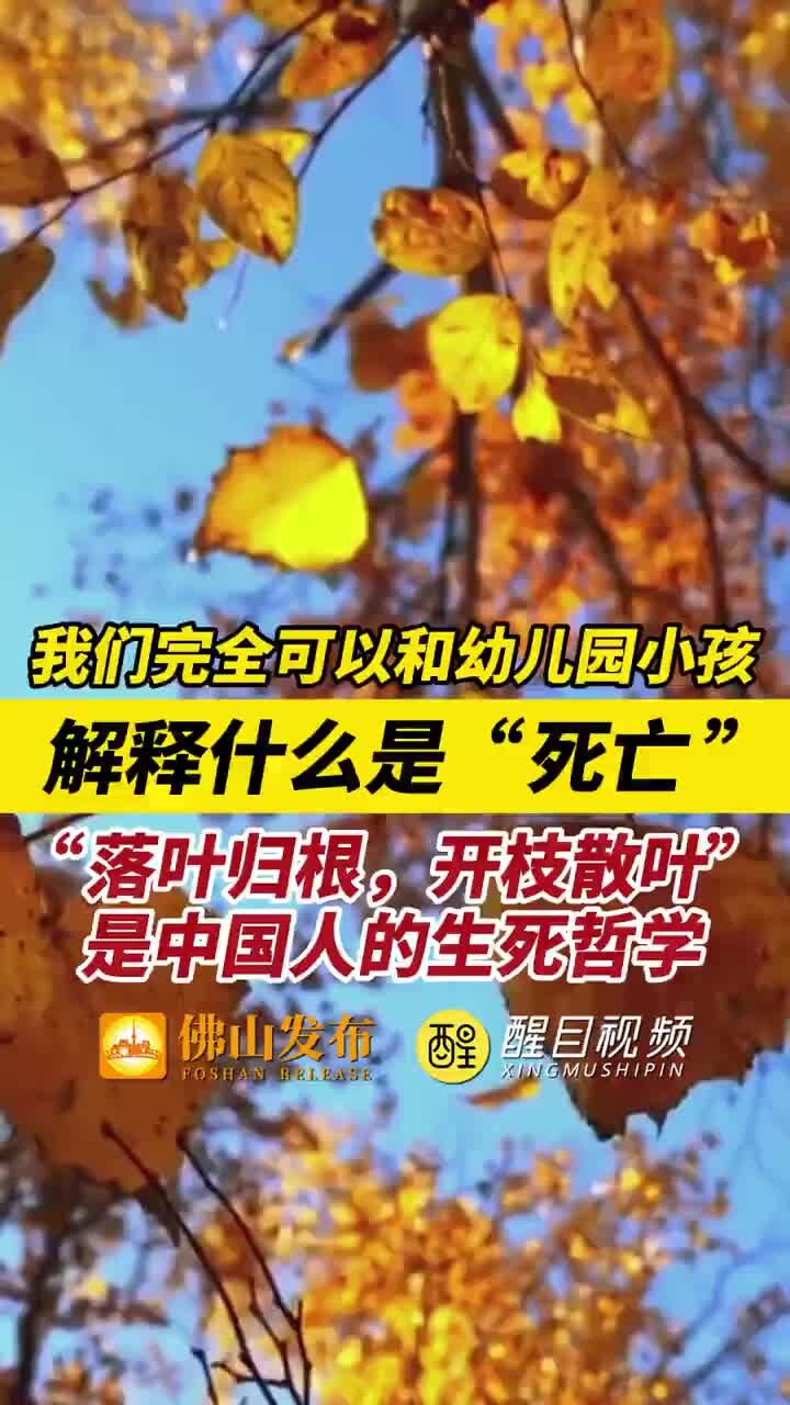 我们完全可以和幼儿园小孩解释什么是“死亡”，“落叶归根，开枝散叶”是中国人的生死哲学_腾讯新闻