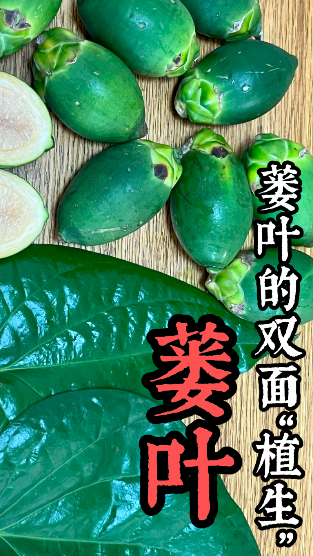 鲜槟榔配蒌叶为什么吃一口吐一口“老血”，蒌叶的双面“植生”_腾讯新闻