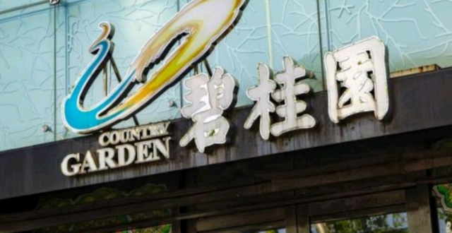 碧桂园杨惠妍:市场还比较冷，我们要做好心理准备_腾讯新闻