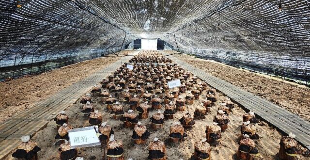 时代考卷上的和龙答案——和龙市以实干推动高质量发展的生动实践_腾讯新闻