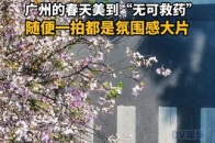 广州的春天美到“无可救药”，随便 …