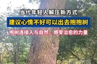 建议心情不好可以出去抱抱树，抱树可以调节情绪、减轻压力_腾讯新闻