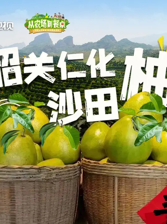 “碌柚碌柚，越碌越有”，秋冬吃颗靓柚，把好运“碌”进门_腾讯新闻