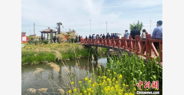 （乡村行·看振兴）江苏宝应广洋湖乡村振兴实现产业发展、农民致富“双赢”_腾讯新闻