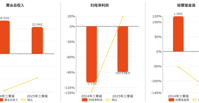 2025年三季报净利润为-9373.06万元，同比亏损缩小_腾讯新闻
