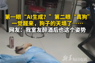 第一眼“AI生成？”第二眼“真狗” 一觉醒来，狗子的天塌了…_腾讯新闻