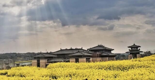重磅！双流多项奖励密集出台，最高达500万元_腾讯新闻