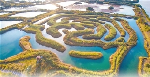 守护湿地之美（美丽中国）_腾讯新闻