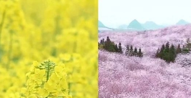 贵州“村BA”赛场师生合唱，一起“唱”游花漾中国_腾讯新闻